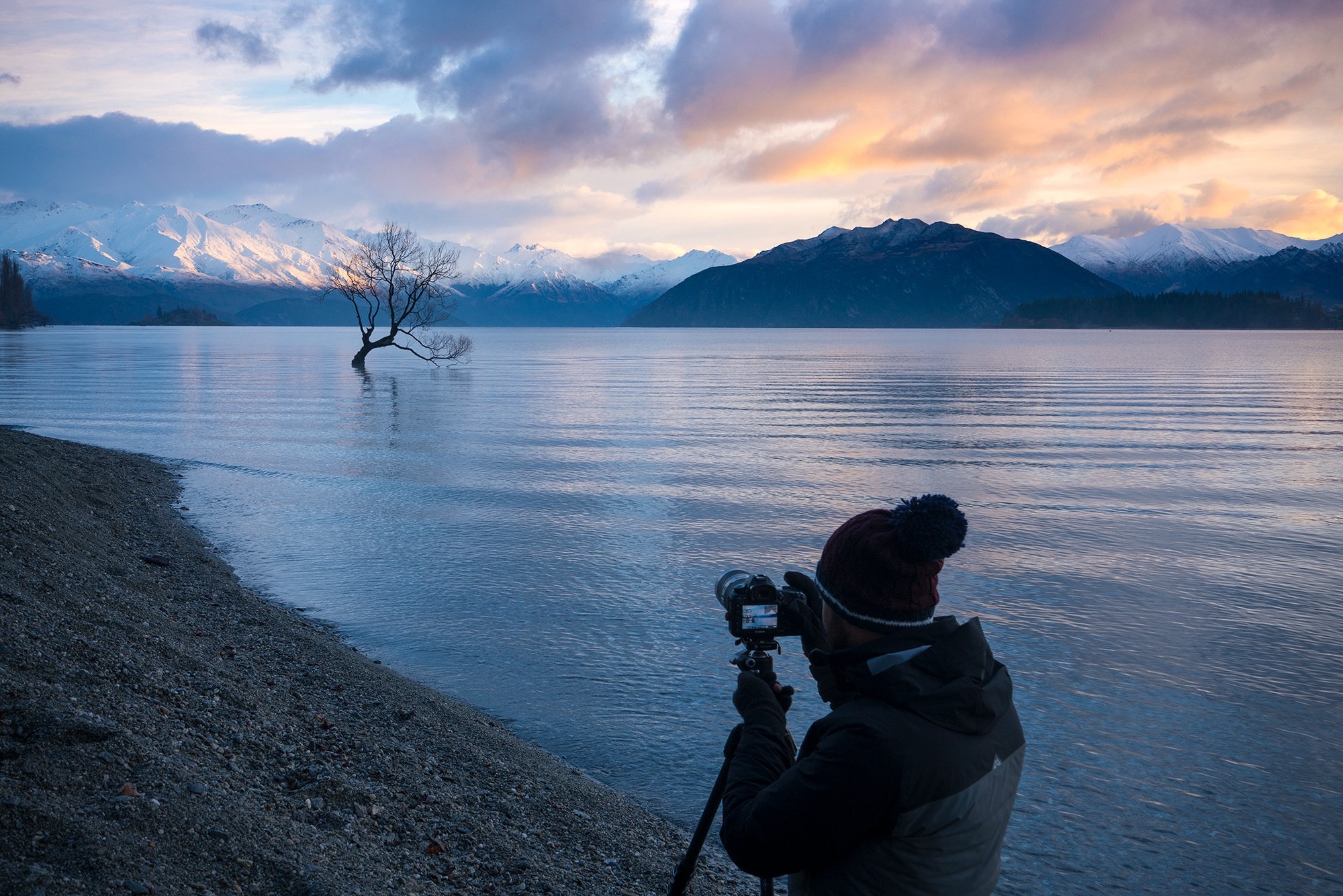 Phil Dabboussi behind the camera &mdash; That Wanaka Tree, New Zealand